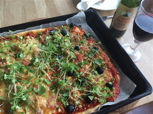 peltipizza